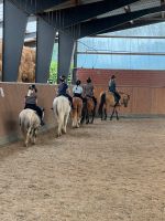 Reitunterricht, Ponyreiten, Longenunterricht, Ponyclub Nordrhein-Westfalen - Versmold Vorschau