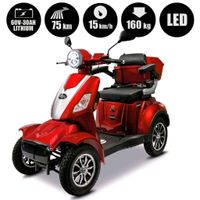 Neuware E-Quad Rolektro Elektromobil 15 V.3 Lithium 15 km /h Baden-Württemberg - Stockach Vorschau