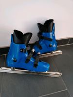 Eis-Schnelllauf-Schlittschuhe Damen 37 skate life blau Baden-Württemberg - Köngen Vorschau