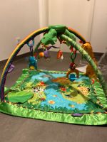 Fisher Price Spielebogen Rainforest Baby Berlin - Steglitz Vorschau