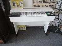 alte Magnus Orgel electronic Organ für Einsteiger Sachsen - Hohenstein-Ernstthal Vorschau