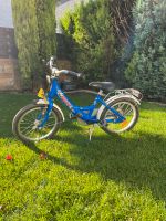 Pucky Fahrrad 16 Zoll Rheinland-Pfalz - Frankenthal (Pfalz) Vorschau