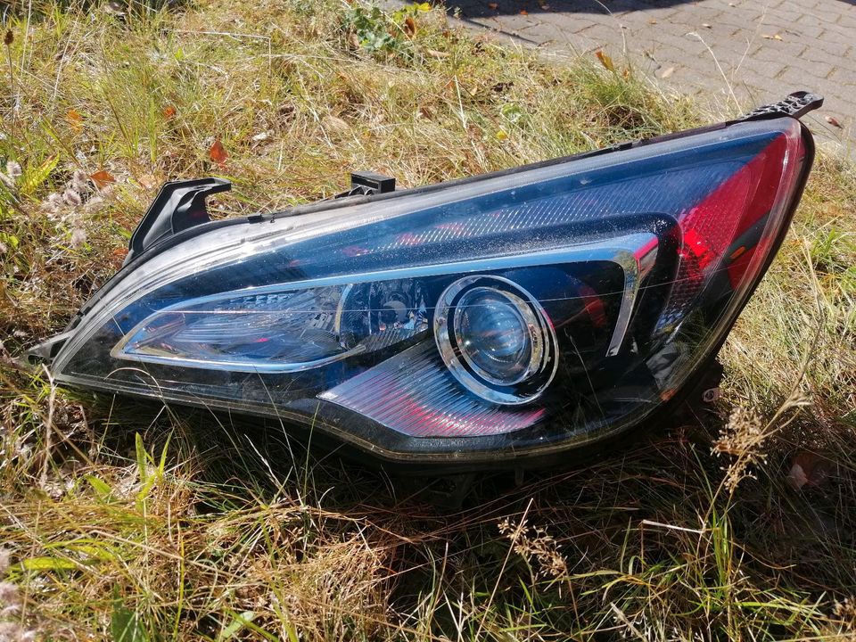 Opel cascada scheinwerfer xenon in Glinde