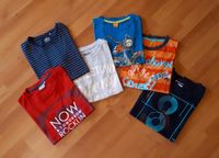 6 T-Shirts 134/140 Sachsen - Struppen Vorschau