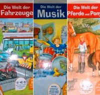 Die Welt der Fahrzeuge Musik Pferde und Ponys TipToi TipToy BtBj Baden-Württemberg - Neudenau  Vorschau