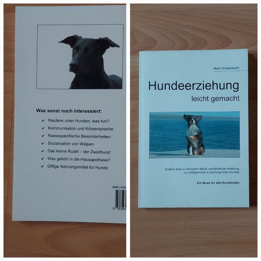 Hundeerziehung in Frankenthal (Pfalz)