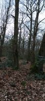 Wald in Ahrweiler am Berg Friedhof Rheinland-Pfalz - Niederzissen Vorschau