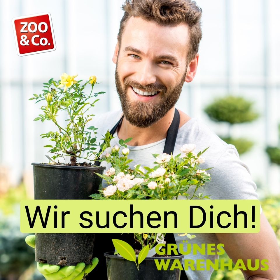 Verkäufer für den Gartenbereich (m/w/d) Grünes Warenhaus Spenge in Spenge