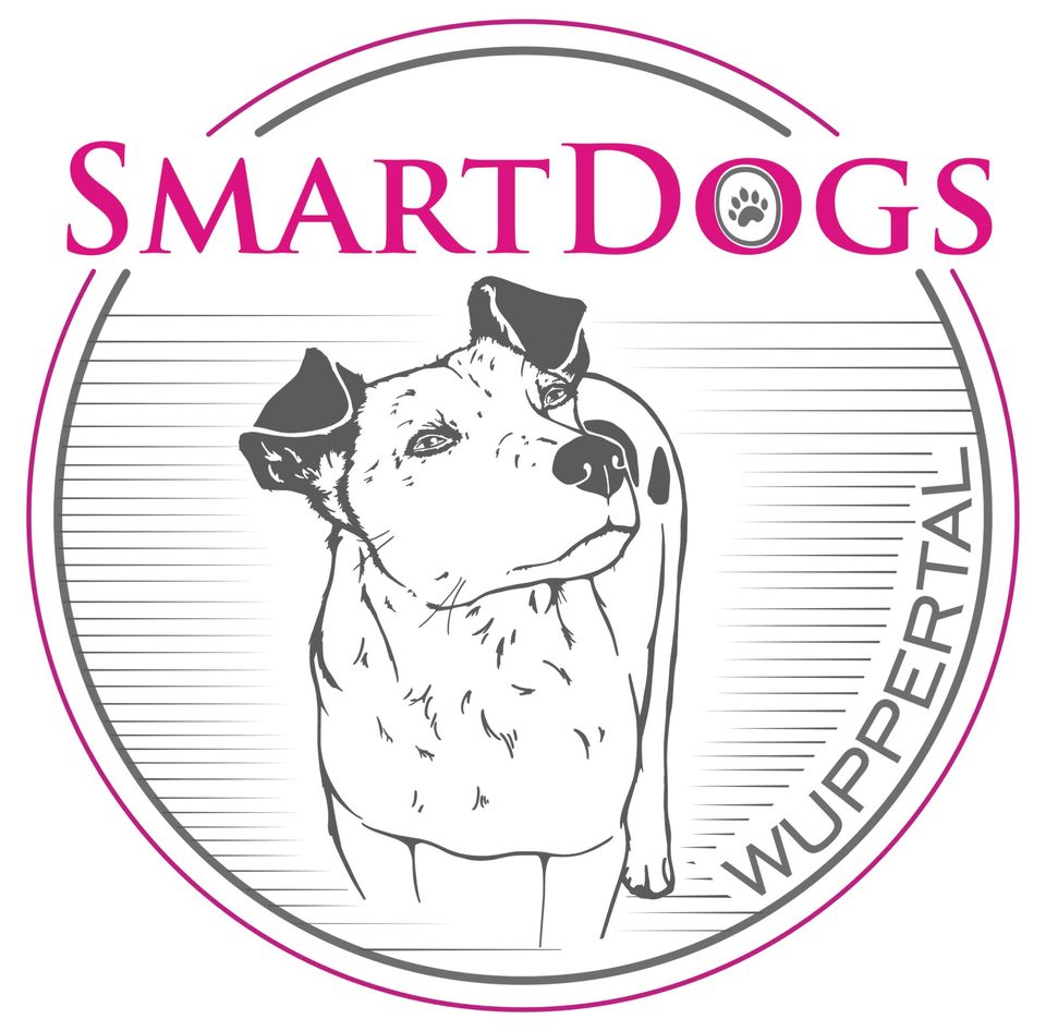 Der (fast) Perfekte Rückruf * Hundeschule * Smart Dogs Wuppertal in Wuppertal