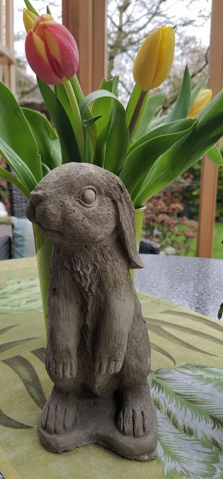 Betonfigur Hase 21 cm frostfest Gartendeko Deko Geschenk in Soest