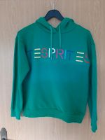 Pullover Esprit Kleidung Damen S M 38 40 Nordrhein-Westfalen - Verl Vorschau