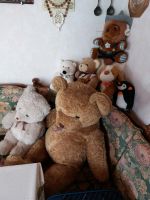 Teddybären groß und normal Hessen - Petersberg Vorschau