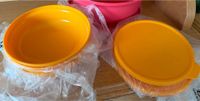 Tupperware Aloha 4x 450ml Sachsen - Halsbrücke Vorschau