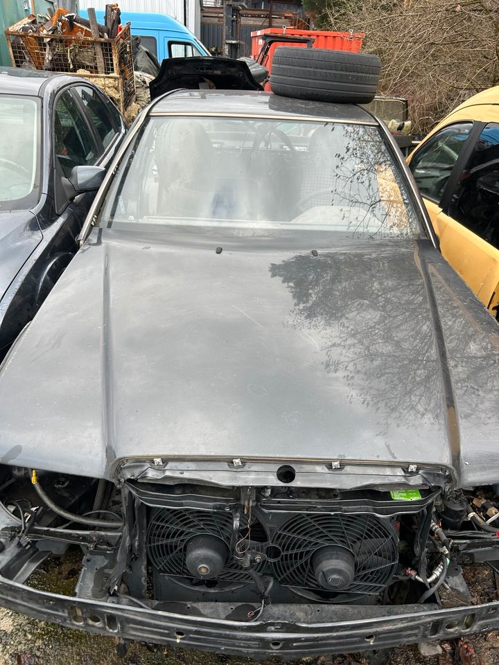Mercedes W124 2,5 diesel zum ausschlachten in Ludwigshafen