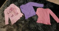 3er Set Langarmshirt Mädchen Gr.116 lila rosa 3 Stück Niedersachsen - Vechelde Vorschau