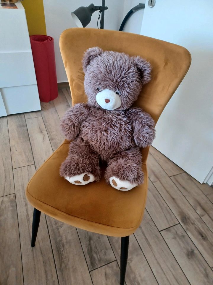 Riesiger Teddybär in Stralsund