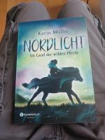 Nordlicht von Karin Müller Hessen - Darmstadt Vorschau