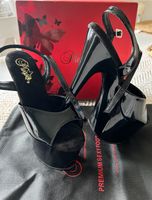 Pleaser Heel Adore-709 Gr. 37 Neu Harburg - Hamburg Wilstorf Vorschau