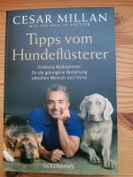 Cesar Millan Hunde Bücher Bayern - Schongau Vorschau