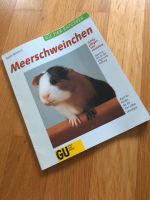 Meerschweinchen Baden-Württemberg - Mainhardt Vorschau