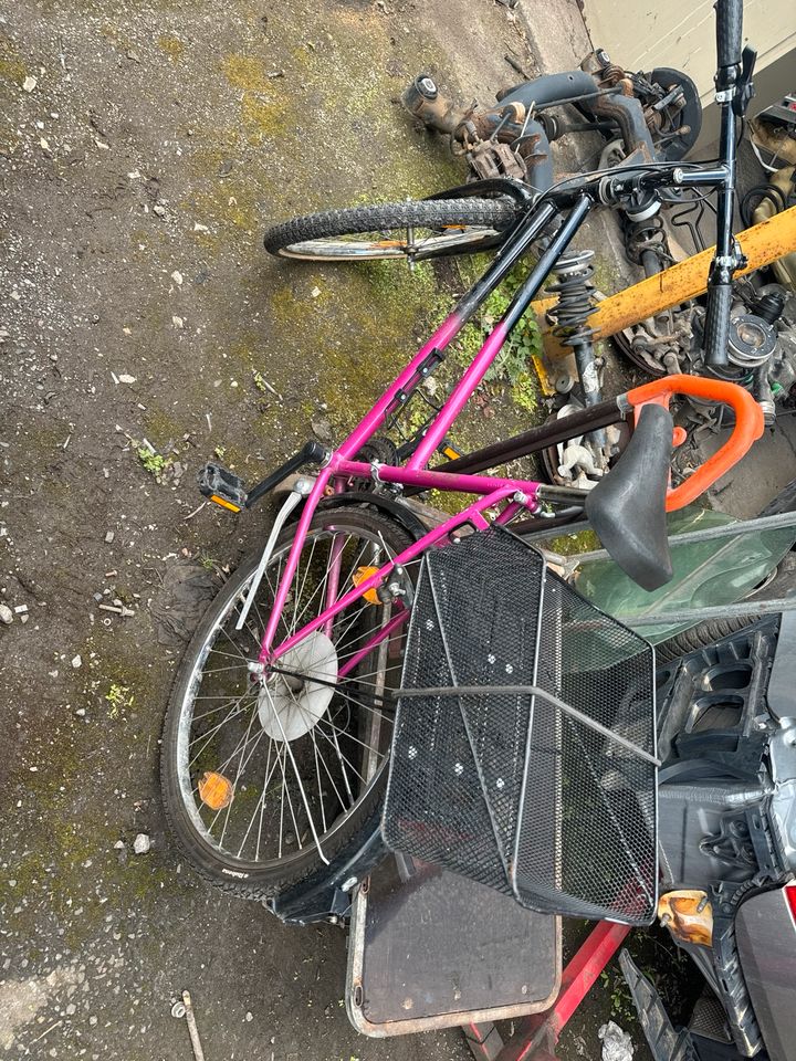 Damenrad Fahrrad  Neuer Schlauch in Dortmund
