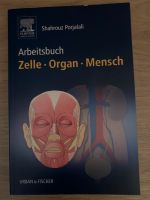 Arbeitsbuch - Zelle Organ Mensch Nordrhein-Westfalen - Hilden Vorschau