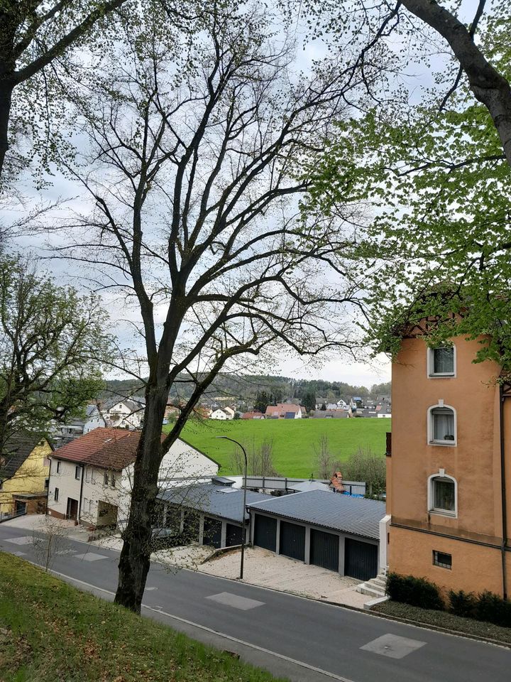 Tisch wie neu beidseitig ausziehbar pflegeleicht und 4 Stühle in Sulzbach-Rosenberg