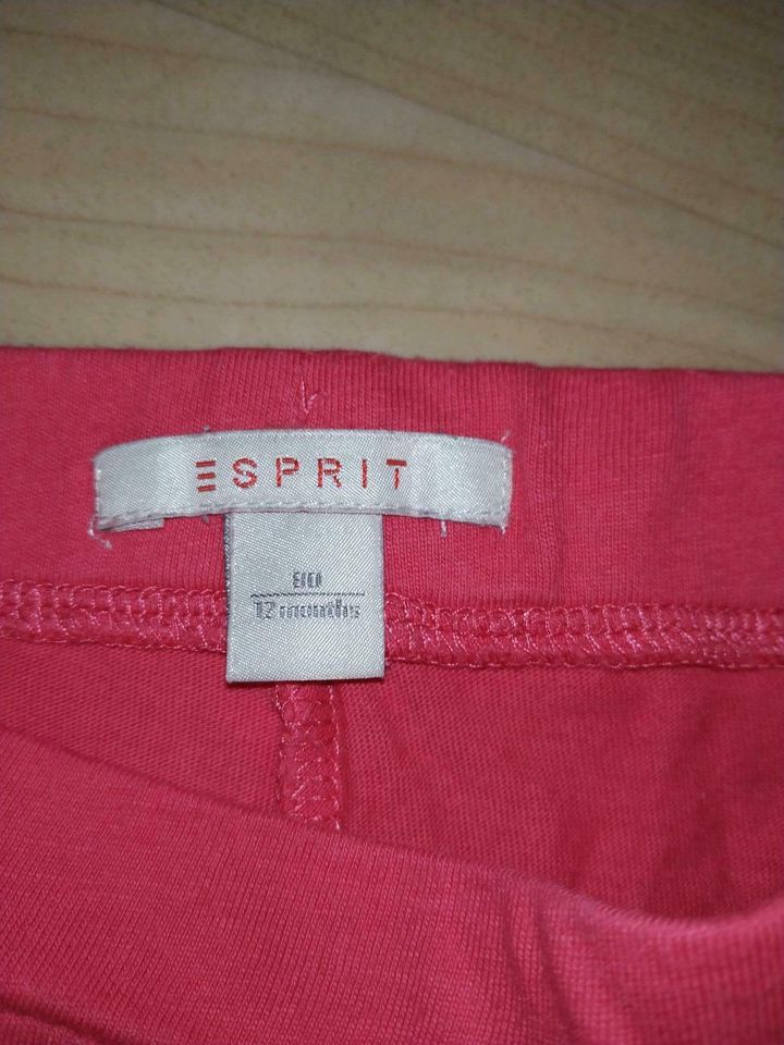 Kurze Hose / Sommerhose / Shorts Größe 80 Esprit in Platten