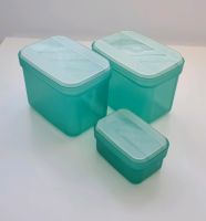 Tupperware Swingboxenset Baden-Württemberg - Sasbach Vorschau