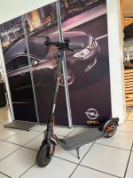 NINEBOT KICKSCOOTER F40D BY SEGWAY/// NEU & Top Preis Nordrhein-Westfalen - Bad Salzuflen Vorschau