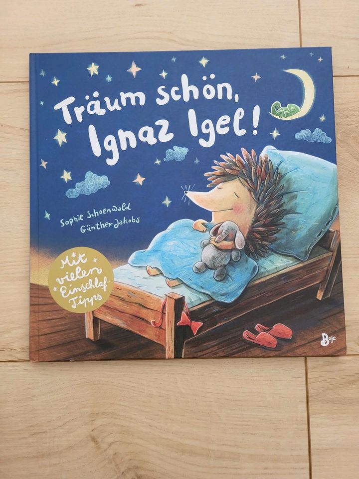 Kinderbuch Träum schön, Ignaz Igel! in Königsbach-Stein 