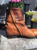 AS98 Leder Boots Gr.37 Nordrhein-Westfalen - Bocholt Vorschau