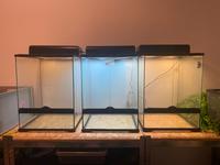 3x Exo Terra 45x45x60 Terrarium mit Lampen Hessen - Schlitz Vorschau