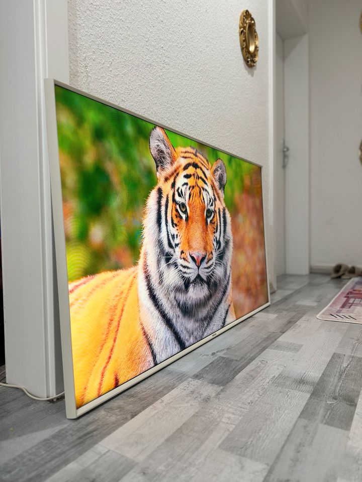 Samsung Smart tv 55 Zoll Fernseher in Neuss