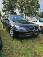 BMW 523i E60 E61 Facelift Kombi Bj07 Ersatzteile Schlachtfest Niedersachsen - Bremervörde Vorschau