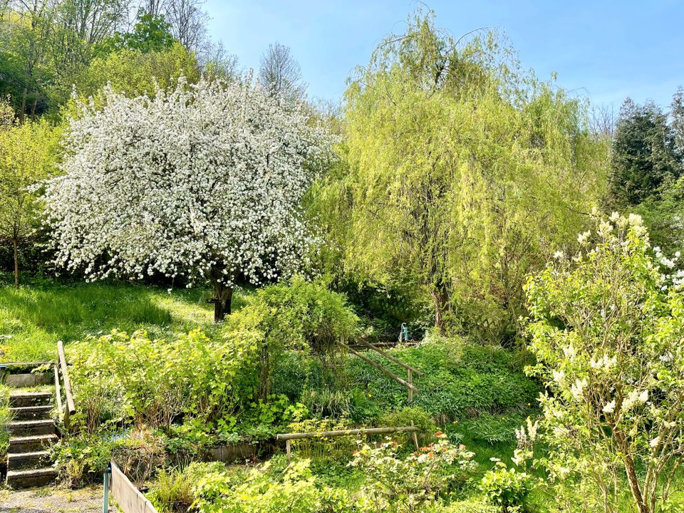 CHARMANTES DREIFAMILIENHAUS MIT WUNDERSCHÖNEM GARTEN !!! in Hagen