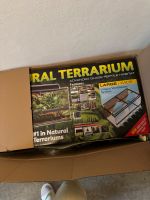 Exo Terra Natural Terrarium Large/Wid Bayern - Rosenheim Vorschau