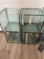 2 Stück Aquarium Zuchtwürfel Diskus&Skaler 50x50x50 Nordrhein-Westfalen - Borgentreich Vorschau