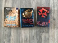 Bücher Thriller Abenteuer das verlorene Labyrinth Nordrhein-Westfalen - Brüggen Vorschau