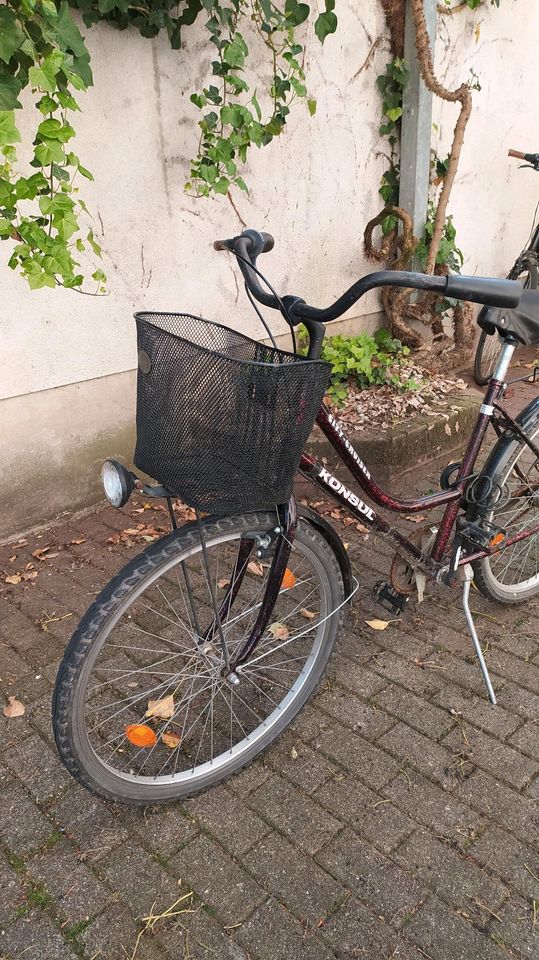 Fahrrad mit 26 Zoll in Speyer