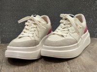 Ash Sneaker Impuls Gr. 40 weiß rosa grau Baden-Württemberg - Amtzell Vorschau