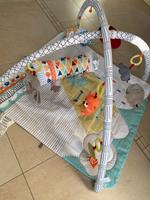 Fisher Price Spieldecke, Spielbogen Sachsen-Anhalt - Muldestausee Vorschau