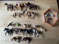 Schleich Tiere , Dino ,wildkatzen ,Frosch, , Pferde , hasengehege Niedersachsen - Sittensen Vorschau