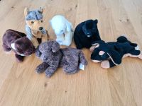 TY Beanie Babies - 6 Stück Nordrhein-Westfalen - Bergheim Vorschau