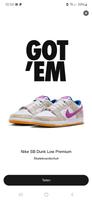 Nike SB Dunk Low Niedrig Rayssa Leal Purple EU 45,5 US 11,5 Neu Köln - Zollstock Vorschau