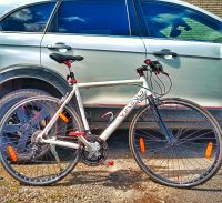 Rennrad Fitnessbike 28er Niedersachsen - Quakenbrück Vorschau