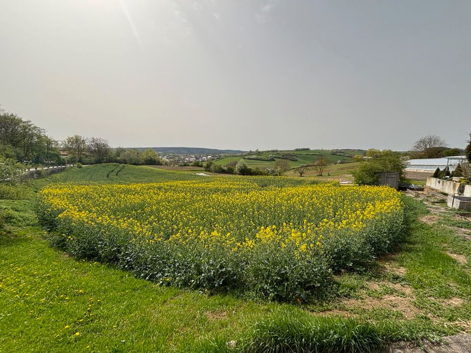 Traumhaftes Grundstück in Regensburgs "Toskana" in Regensburg