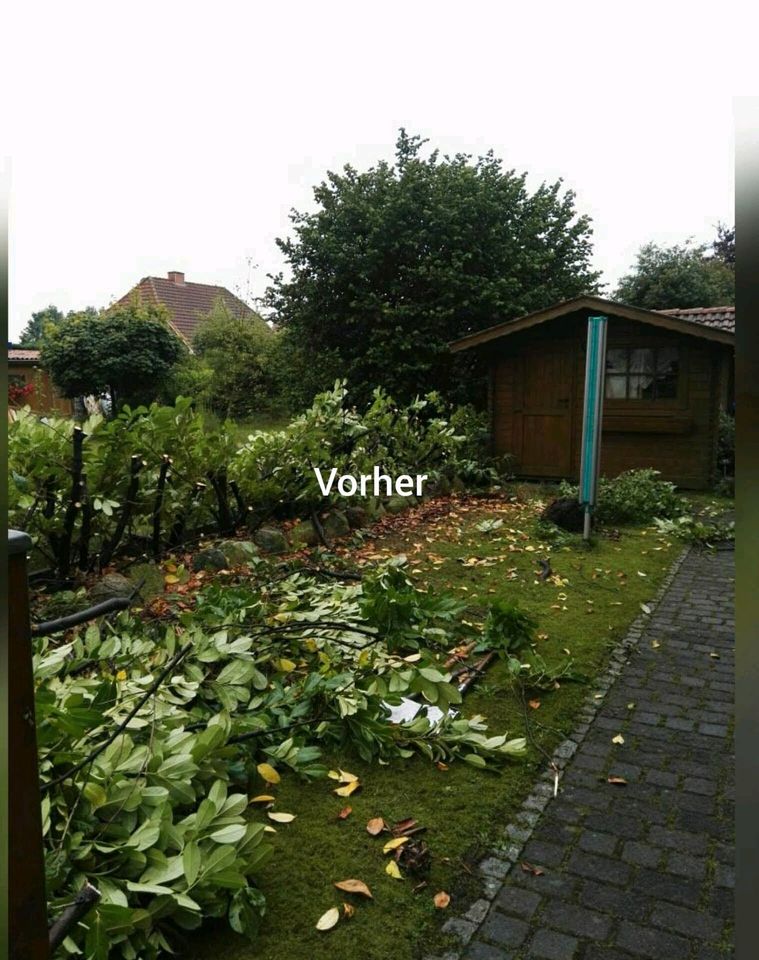 Gartenarbeiten aller Art in Jork