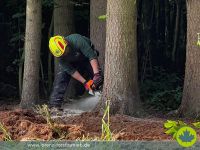❌ Holzrücken❌ Gipfelbruch ❌ Forstarbeiten ❌ Forstdienstleistungen Bayern - Bad Griesbach im Rottal Vorschau