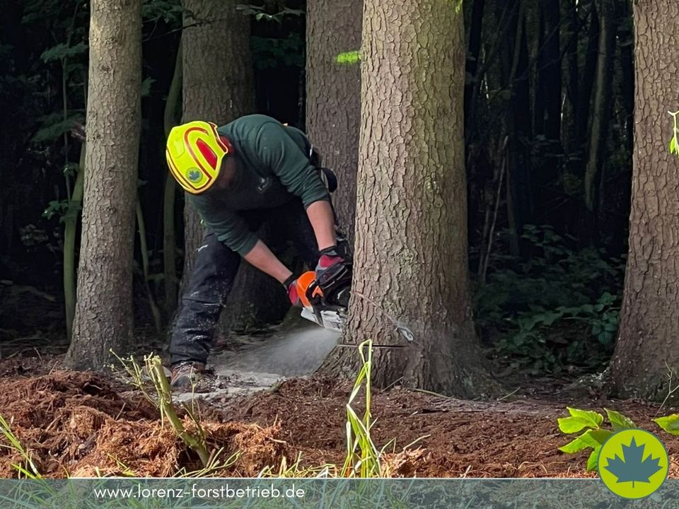 ❌ Holzrücken❌ Gipfelbruch ❌ Forstarbeiten ❌ Forstdienstleistungen in Bad Griesbach im Rottal